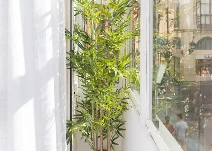 La Cruz Cozy By Next Stop Bilbao